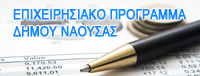 Επιχειρησιακό Πρόγραμμα Δήμου Νάουσας